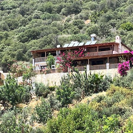 Istlada Tas Ev Apart - Kekova View Kapaklı Екстериор снимка