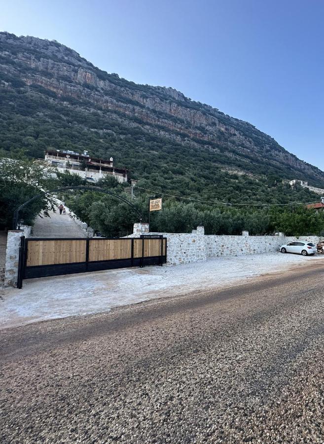 Istlada Tas Ev Apart - Kekova View Kapaklı Екстериор снимка